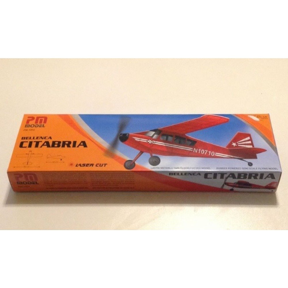 Belenca Citabria - Görsel 2